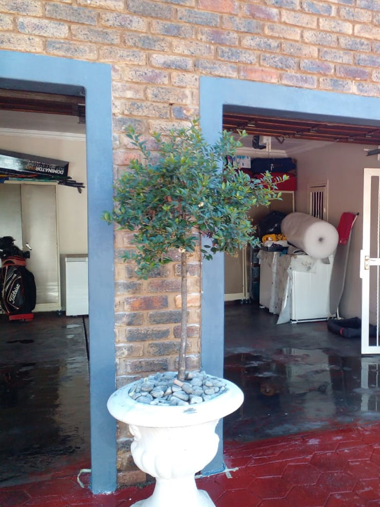 Interior painting project